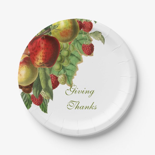 Harvest Fruit Paper Plates (Front)