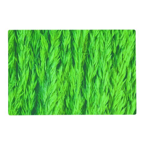 Harvest Green Grass Seed Photo   Placemat