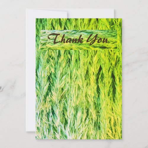 Harvest Green Grass Seeds Bundled Thank You Card