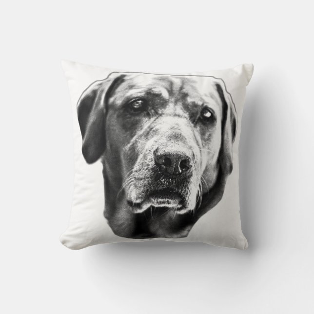 Harvest Hearth Gaze Throw Pillow (Front)