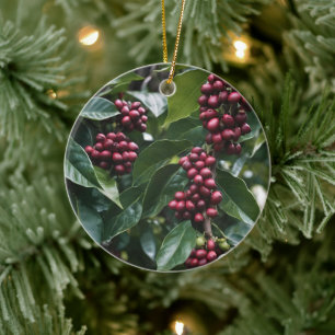 **"Harvest in Bloom: Coffee Beans on the Tree"** Ceramic Ornament