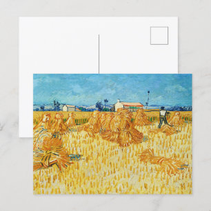 Harvest in Provence by Van Gogh Postcard