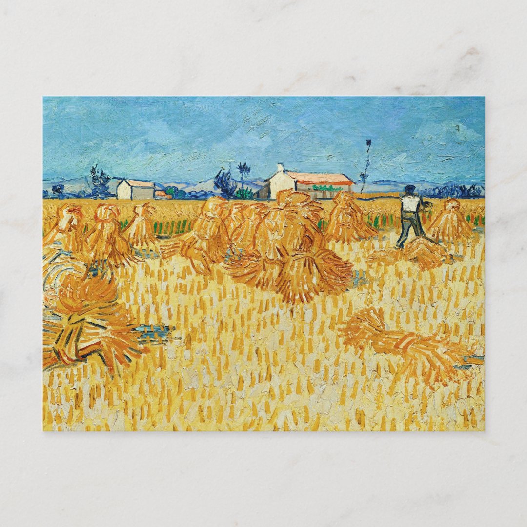 Harvest in Provence by Van Gogh Postcard | Zazzle