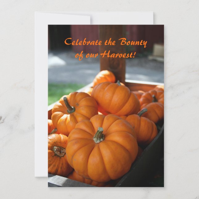 Harvest Invitation- mini pumpkins Invitation (Front)