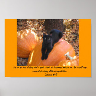 Harvest Kitten Poster