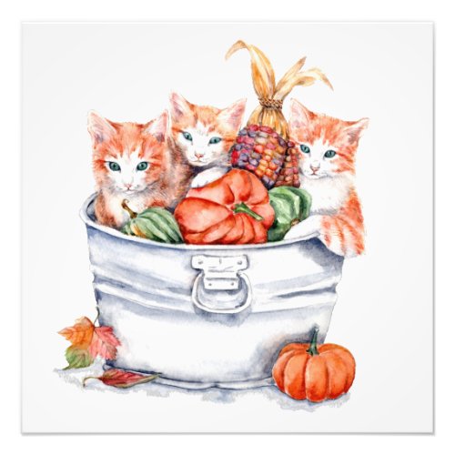 Harvest Kittens Photo Print