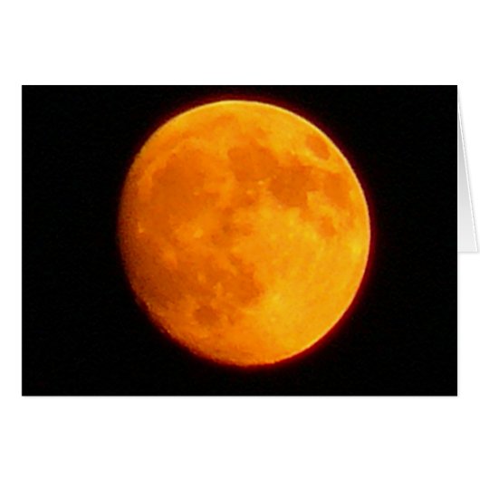 Harvest Moon (Front Horizontal)