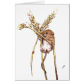 Harvest Mouse (Front)