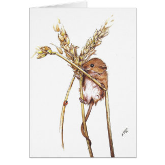 Harvest Mouse Cards