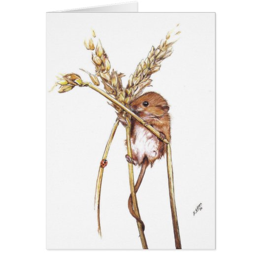 Harvest Mouse Cards (Front)