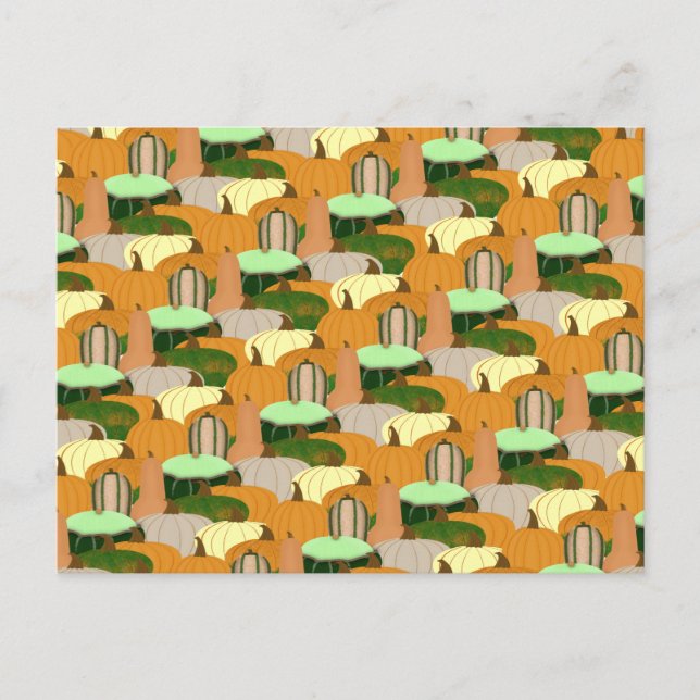 Harvest Pattern Autumn Squash Postcard (Front)