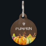 Harvest Pumpkins, Leaves and Foliage Pet ID Tag<br><div class="desc">Personalized dog tag with a watercolor illustration of pumpkins and seasonal autumn leaves.
Brown watercolor background.</div>