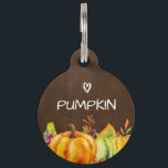 Harvest Pumpkins, Leaves and Foliage Pet ID Tag<br><div class="desc">Personalized dog tag with a watercolor illustration of pumpkins and seasonal autumn leaves.
Brown watercolor background.</div>
