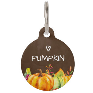 Harvest Pumpkins, Leaves and Foliage Pet ID Tag