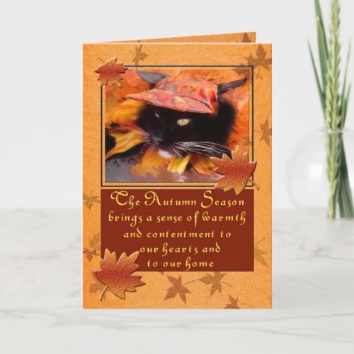 Harvest Season Black Cat Thanksgiving Holiday Card