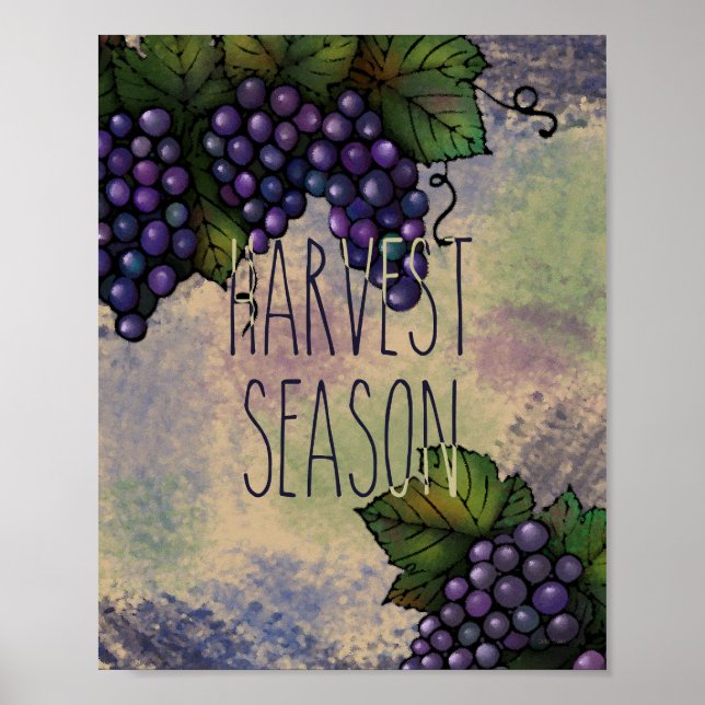 Harvest Season | Purple Grapes Poster (Front)