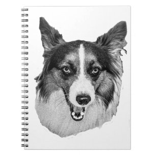 Harvest Smile Journal