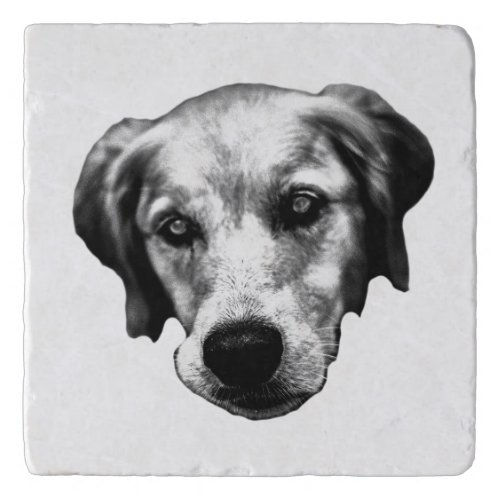 Harvest Table, Quiet Watcher Trivet
