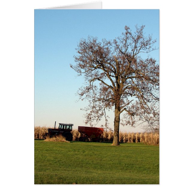 Harvest Time 2 Cards (Front)