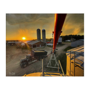 Harvest Time at Sunset on Alberta Farm Acrylic Print