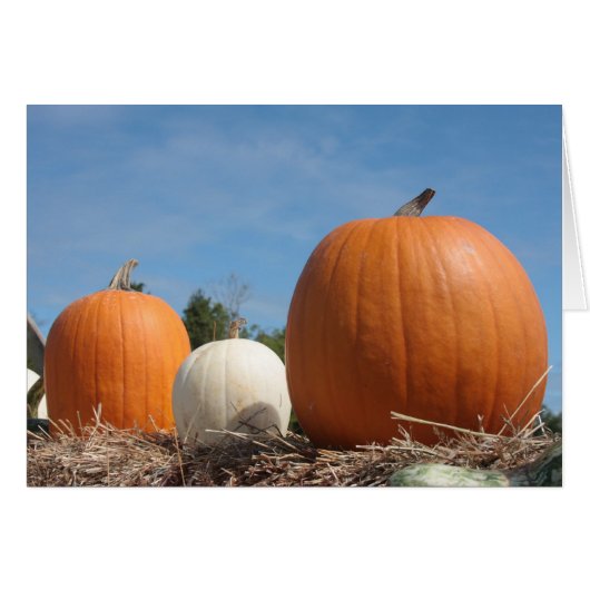 HARVEST TIME!!!! CARDS (Front Horizontal)