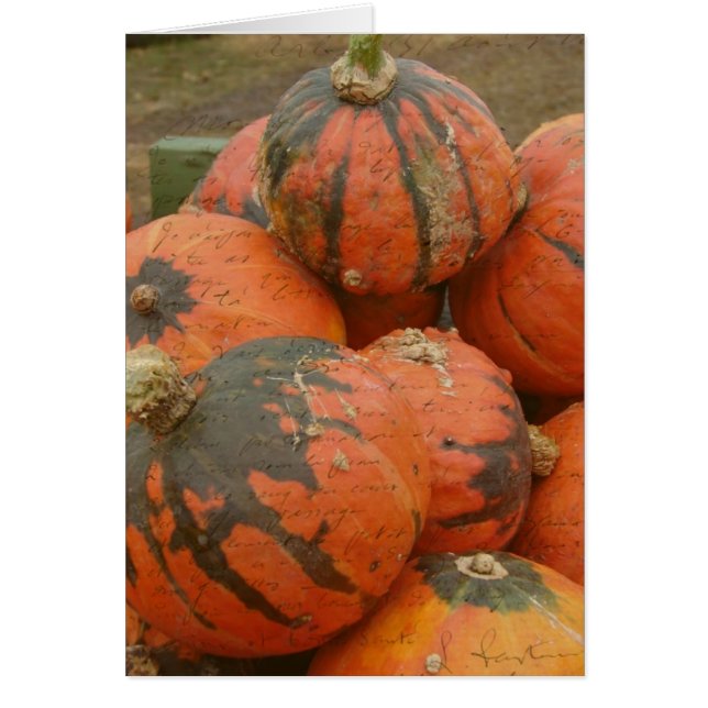Harvest Time Cards (Front)