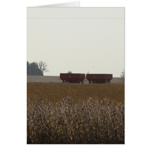 Harvest Time Cards (Front)