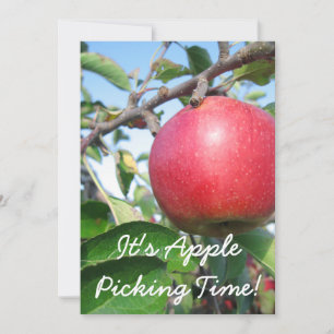 Harvest Time Invitation