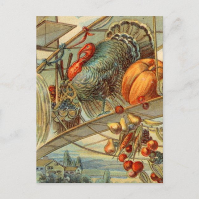 Harvest Turkey and Biplane Postcard (Front)