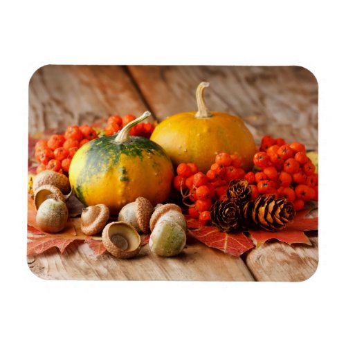 Harvested pumpkins with fall leaves magnet