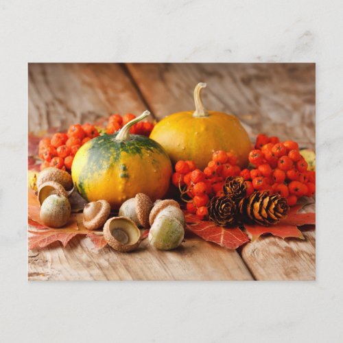 Harvested pumpkins with fall leaves postcard