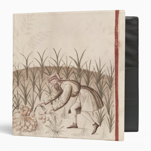 Harvesting Garlic 3 Ring Binder (Front/Inside)