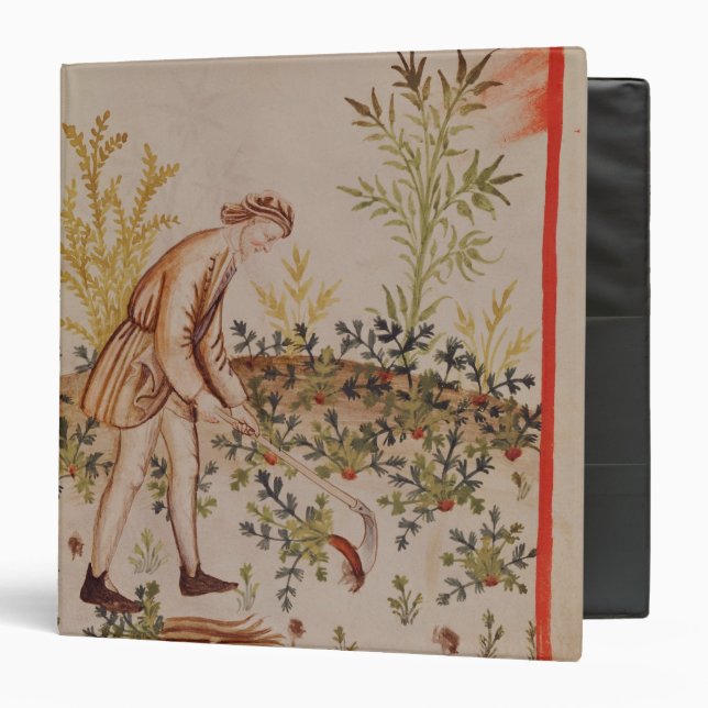 Harvesting Parsnips from 'Tacuinum Sanitatis' Binder (Front/Inside)