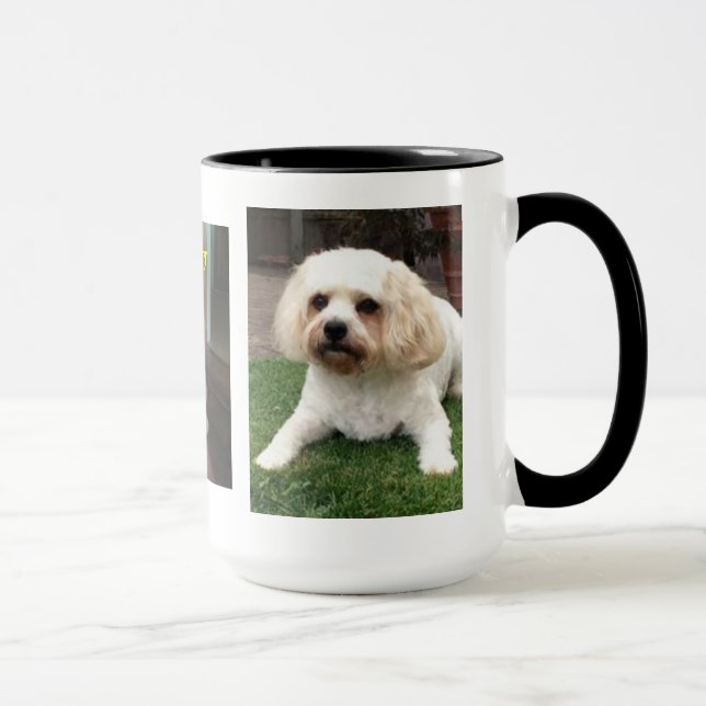 Harvey the Cavahon Mug (Right)