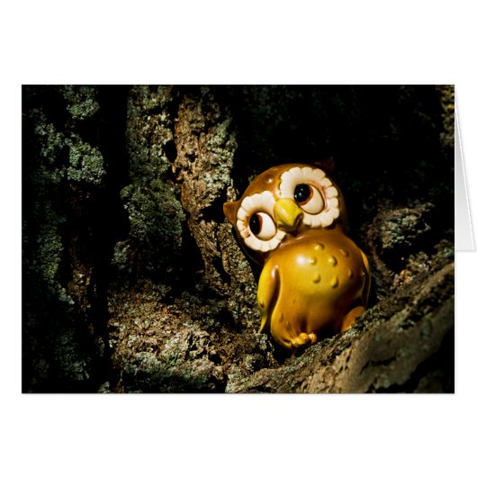 Harvey the Owl I Cards (Front Horizontal)