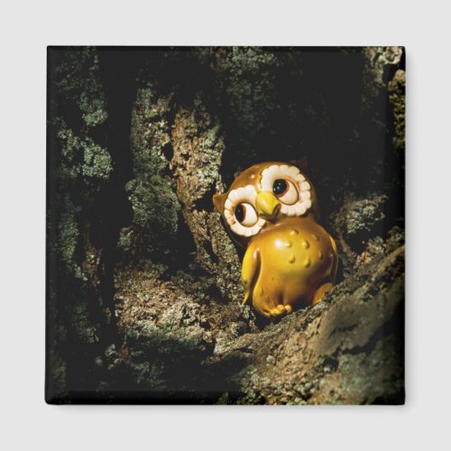 Harvey the Owl I Magnet