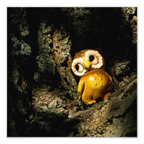 Harvey the Owl I Photo Print