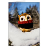 Harvey the Owl IV (Front)