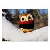 Harvey the Owl IV (Front Horizontal)