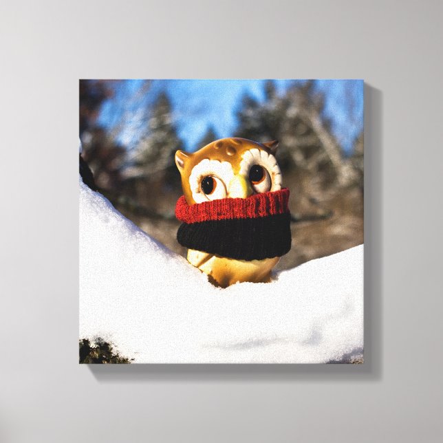 Harvey the Owl IV Canvas Print (Front)