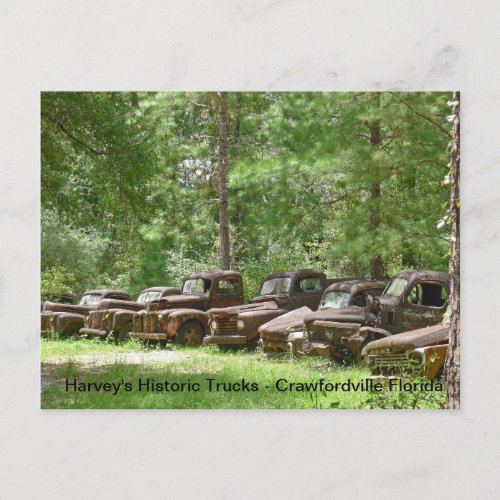Harveys Historic Truck Display _ Crawfordville FL Postcard