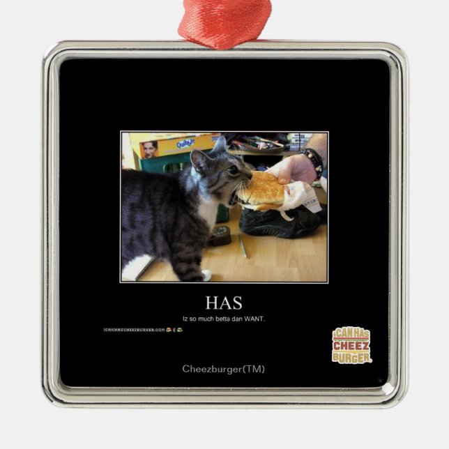 Has Metal Ornament (Front)