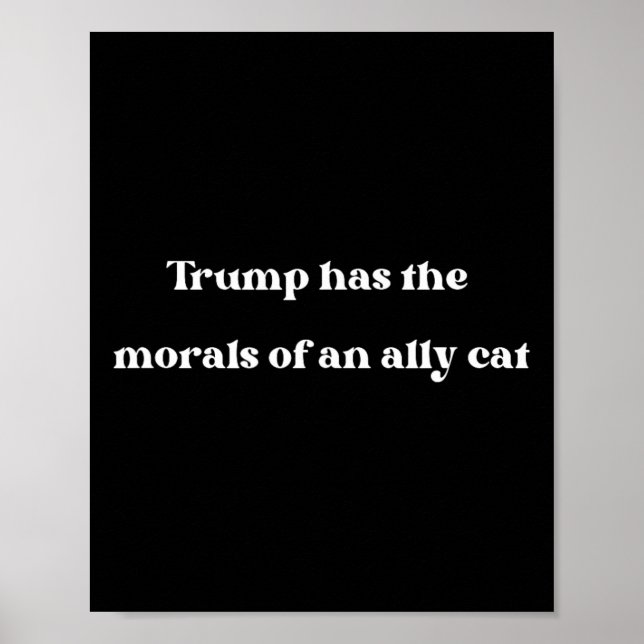 Has The Morals Of An Ally Cat Funny Joe  Poster (Front)