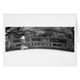 Hashiite. Tokyo, 2011