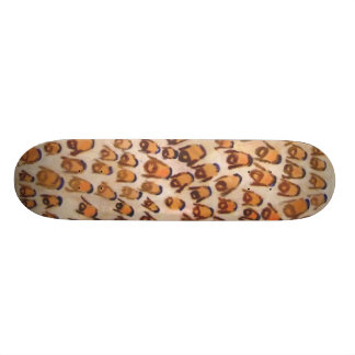 hassid nation skateboard deck