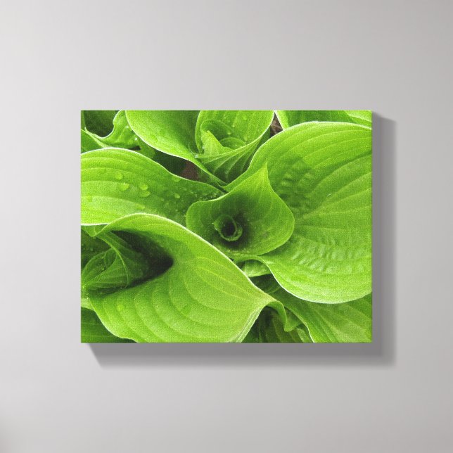 Hastas Canvas Print (Front)