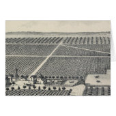 Hastie Vineyard, California (Front Horizontal)