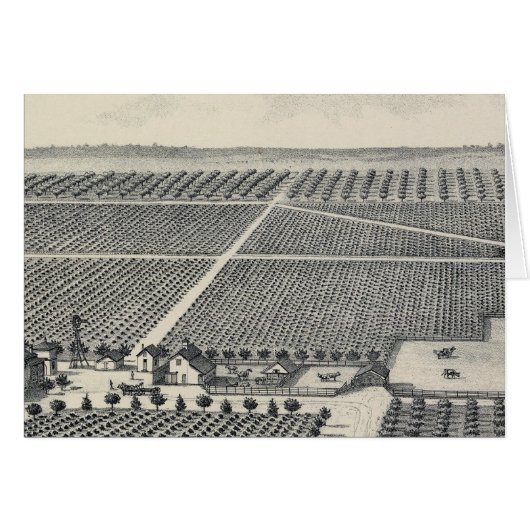 Hastie Vineyard, California Cards (Front Horizontal)