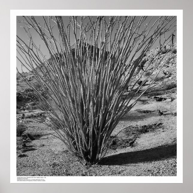 Hastings Natural History Reservation Poster (Front)