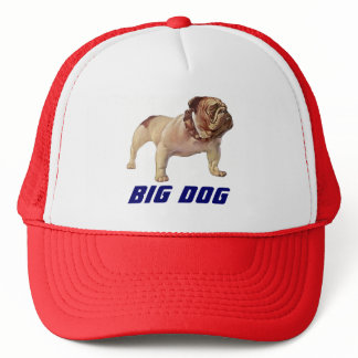 HAT BIG DOG Bulldog OTR Trucking Trucker's Mover's